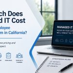How Much Does Managed IT Cost for a 5-25 Employee Accounting Firm in California?
